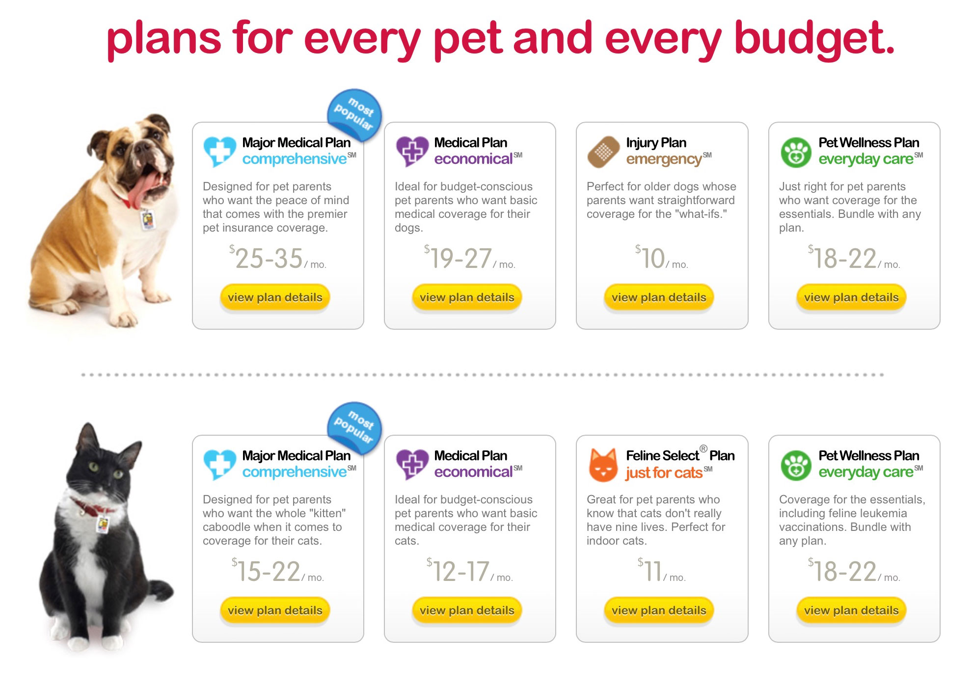 Pet варианты. Types of Pets. Бэст фор ПЭТ. What is Pet insurance. Pet Planner.